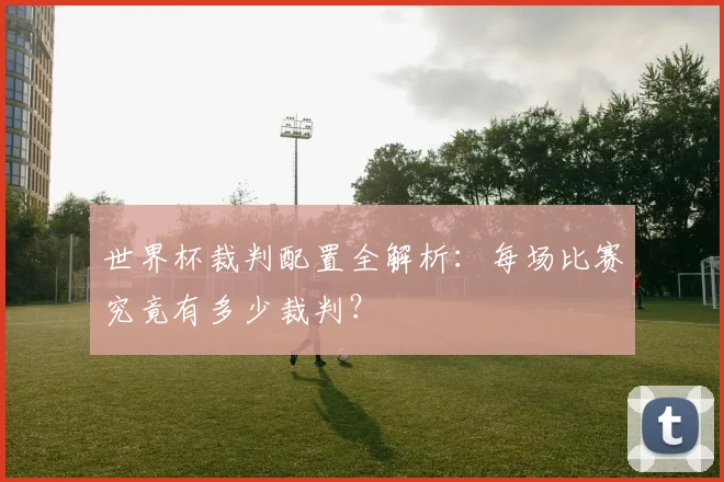 世界杯裁判配置全解析：每场比赛究竟有多少裁判？